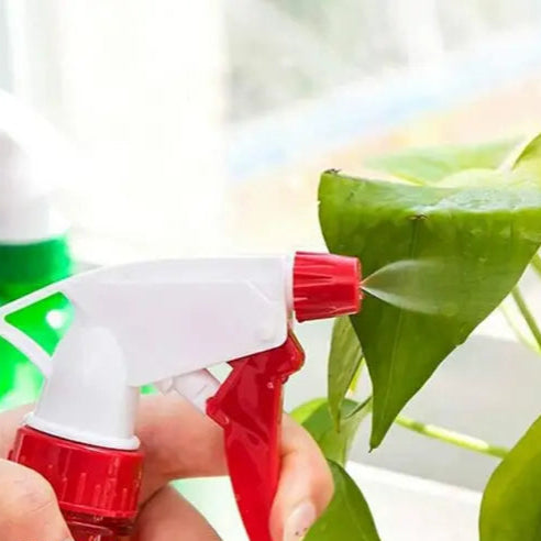Filtered Shower Spray Head